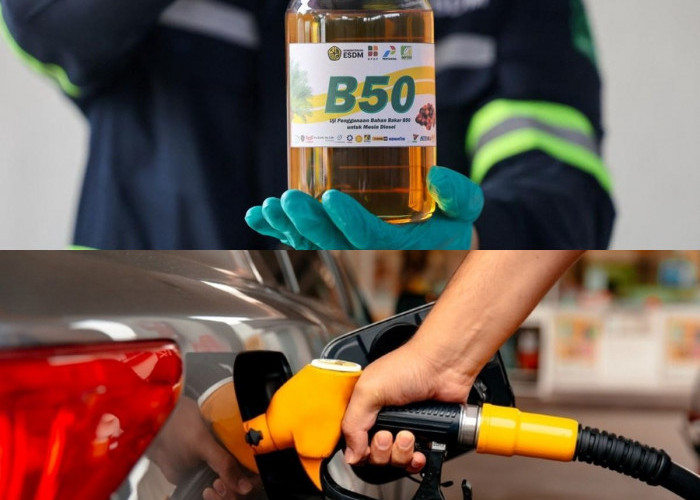 Biodiesel B50 Resmi Berlaku, Ini Perbedaannya dengan Solar Biasa dan Dampaknya bagi Kendaraan Diesel!