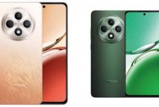 Oppo Reno 12F 5G Resmi Hadir Dengan Desain Futuristik, Kamera AI Canggih, dan Baterai Tahan Lama Ditahun 2026!