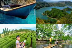 Menjelajahi Keindahan Tersembunyi, Destinasi Wisata di Kalimantan Tengah yang Belum Banyak Diketahui!