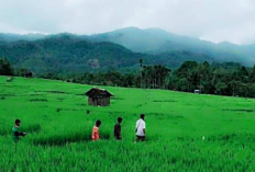 Gunung Kulabu, Permata Tersembunyi di Sumatera Barat!!!