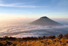 Mengungkap Keindahan Gunung Sumbing, Jambi: Flora, Fauna, dan Tantangan Pendakian