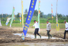Tingkatkan Komitmen Dalam Ketahanan Pangan, Pemprov Sumsel Serahlan Alsintan Daerah 