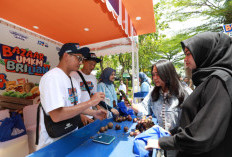 Program Pemberdayaan BRI dorong Klaster Usaha Manggis di Bali Perluas Jaringan Pemasaran