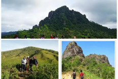 Menelusuri Kisah Mistis Gunung Limo Jawa Timur, Memiliki Aura Spritual yang Kuat.