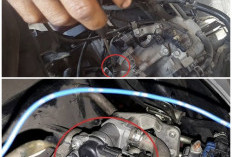 Jangan Salah! Begini Cara Setting Langsam BeAT FI yang Bikin Motor Halus & Irit