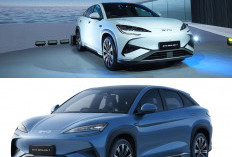 BYD Sealion 7, SUV Listrik Premium dengan Tenaga 522 HP dan Jarak Tempuh Hingga 567 Km