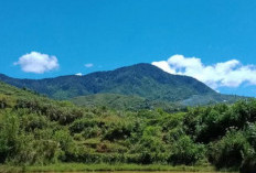 Mengenal Gunung Rasan, Permata Tersembunyi di Sumatera Barat