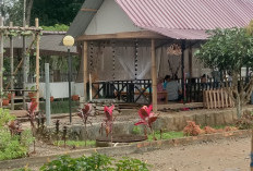 Villa dan Resto Antinei, Perpaduan Penginapan Nyaman dan Kuliner Khas
