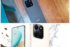 Honor X7D 2026 Hadir Mengejutkan, Smartphone Murah dengan Daya Tahan Lama dan Performa Stabil untuk Harian