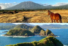 Ingin Liburan Berkesan di Banyuwangi? Menikmati Keindahan Savana Eksotis Yang Menarik!