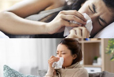 Flu Menyerang? Ini Dia 8 Tips Langkah Untuk Membantu Tubuh Anda Pulih