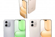 Honor 600 Lite Resmi Hadir, Ini Keunggulan yang Jarang Diketahui