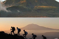 Menguak 4 Titik Lokasi Paling Angker di Puncak Gunung Lawu. Ketahui Sebelum MendakiMendaki