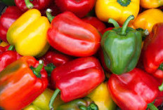 Keajaiban Paprika, Menyingkap 5 Manfaat Kesehatan Yang Menakjubkan