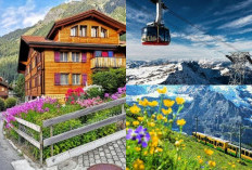 Ingin Liburan Anda Seru? Yuk Singgahi 5 Spot Wisata Terbaik di Swiss yang Menawarkan Pemandangan Menakjubkan!