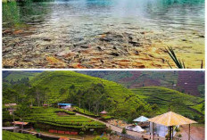 Indah dan Menenangkan, Destinasi Alam di Brebes Ini Cocok untuk Liburan dan Staycation Bersama Keluarga