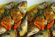 Resep Ikan Kembung Bumbu Gurih Sederhana dan Bikin Ketagihan!