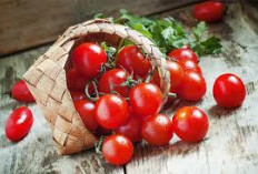 Tak Hanya Sehat! Ini Dia 5 Manfaat Tomat Buah Segar Penuh Nutrisi dan Bersinar