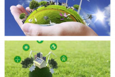 Dari energi bersih hingga inovasi hijau, inilah harapan planet kita