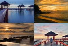 Tanjung Bajau Beach, Pesona Pantai dan Sunset yang Tak Terlupakan di Kalimantan Barat!