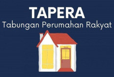 Wajib Bayar Iuran Tapera 3 Persen