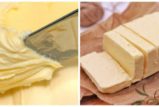 Kenali Bedanya Margarin dan Mentega, Ini Penjelasanya!