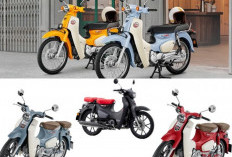 Honda Super Cub C125 2026 Resmi Hadir: Sentuhan Warna Baru, Mesin Irit, dan Investasi Menggiurkan
