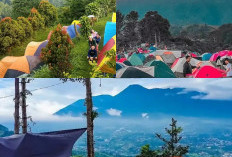 Menyegarkan Pikiran di Gunung Ciung, Petualangan Camping dan Trekking yang Penuh Keajaiban!
