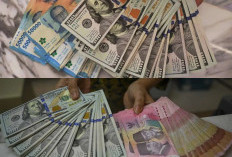 Strong US Dollar Pressures Global Currencies, Rupiah Faces Heavy Impact in May 2026