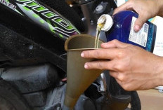  Ini Dia Rahasia Oli Mesin dan Oli Gardan, Panduan Penting untuk Motor Matic Anda, Cek Lengkapnya Disini!