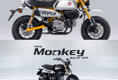 Honda Monkey 2026 Resmi Hadir, Motor Retro Mini dengan Warna Baru dan Harga Fantastis