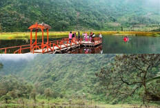 Telaga Mangunan, Destinasi Alam dengan Nuansa Damai yang Bikin Betah