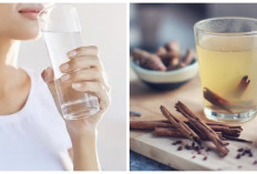 Ini 5 Minuman yang Bisa Mengatasi Nyeri Haid, Jarang Diketahui!