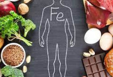 Apakah Zat Besi Baik Untuk Kesehatan? Ini 5 Pentingnya Nutrisi Dalam Kesehatan Tubuh Yang Harus Kalian Simak!