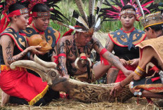 Membuka Tabir Ritual Tiwah Suku Dayak