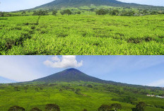 Gunung Dempo, Menaklukkan Puncak Sumatera Selatan dengan Trek yang Menggugah Adrenalin