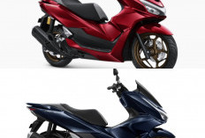 Honda PCX 160 RoadSync 2026 Siap Mengaspal, Layar TFT dan Konektivitas Pintar Jadi Andalan