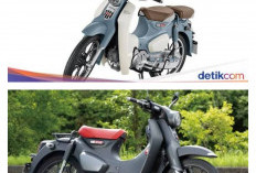 Honda Super Cub C125 2026 Jadi Incaran Kolektor, Hadir dengan Dua Warna Baru yang Makin Ikonik