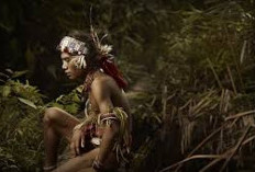 Misteri Suku Paloh, Kehidupan Tersembunyi di Hutan Belantara Kalimantan