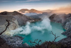 Melihat Panorama Keindahan Gunung Ijen: Keindahan Air Terjun Blawan