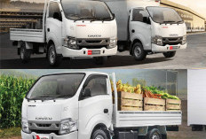 suzu TRAGA Box: Rahasia Sukses Bisnis Logistik 2026 dengan Kapasitas Kargo Terluas dan Mesin Paling Bandel