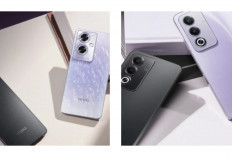 Gak Perlu HP Mahal! Ini 7 Smartphone 3 Jutaan 2026 yang Hasil Kameranya Bikin Teman Iri