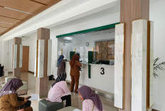 Panen Raya Kopi Jadi Momentum Emas, Pegadaian Tawarkan Cicilan Ringan dan Cashback