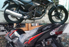 Honda Tiger Revolution (Tiger Revo), Motor Legendaris 'Sang Macan' yang Masih Diburu Pecinta Touring