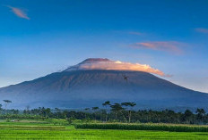 Melihat Jalur Pendakian yang Terkenal, Inilah Misteri dan Fakta Gunung Slamet  