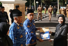 Plt Wali Kota Pagaralam Hj. Bertha Serahkan Penghargaan untuk ASN Purna Tugas