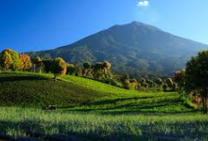 Gunung Mande Rabiah, Permata Tersembunyi di Sumatera Barat