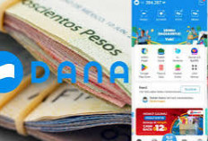 Wadidah, Bigini 5 Tips Mendapatkan Uang di Aplikasi Dana