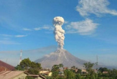 Membuka Tabir Misteri Gunung Ambun, Sumatera Barat Keindahan dan Cerita Mistis yang Menyelimuti