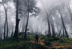 Penyeba Hilangnya Pendaki, Kekuatan Mistis di Gunung Butak, Ini Penjelasannya!!!